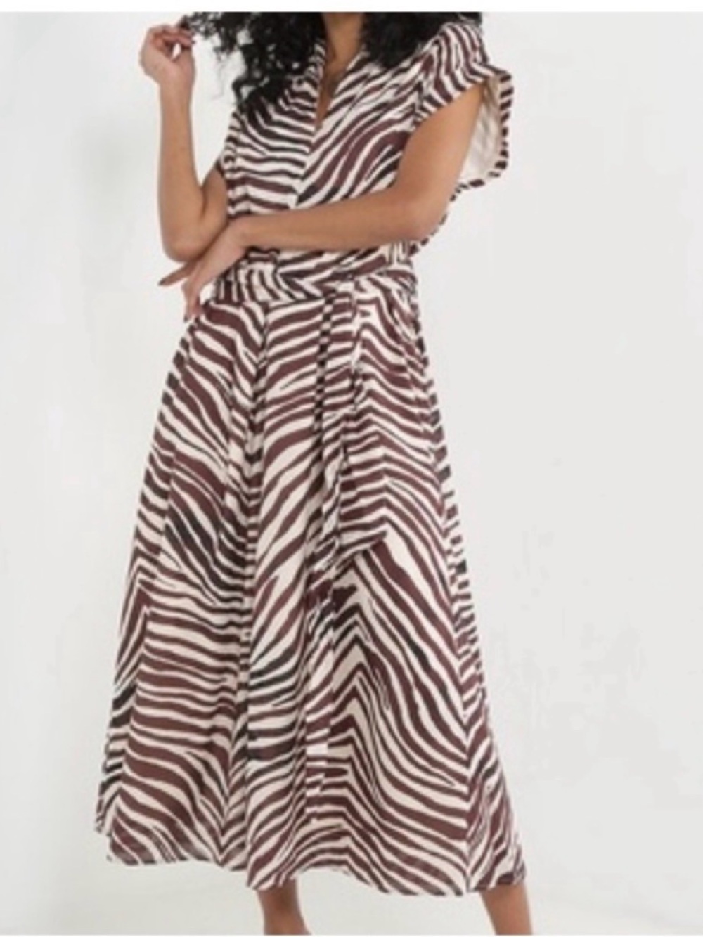 Banana Republic Brown & White Zebra-Pattern Shirt Dress